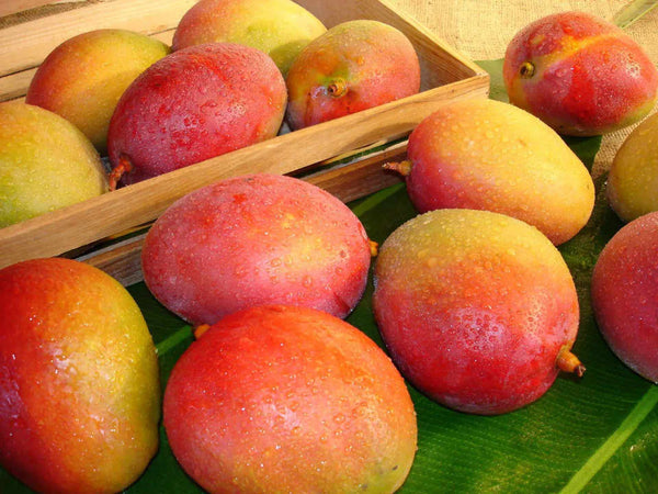 Wie ich meine Mangos auswähle…