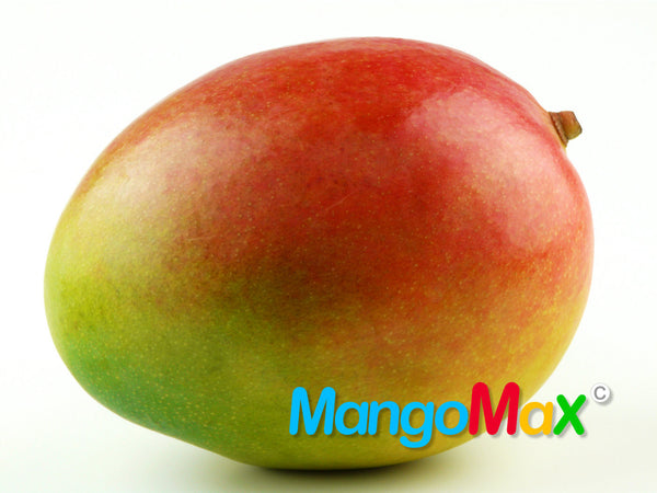 MangoMax 2.0 mit Metallspitze